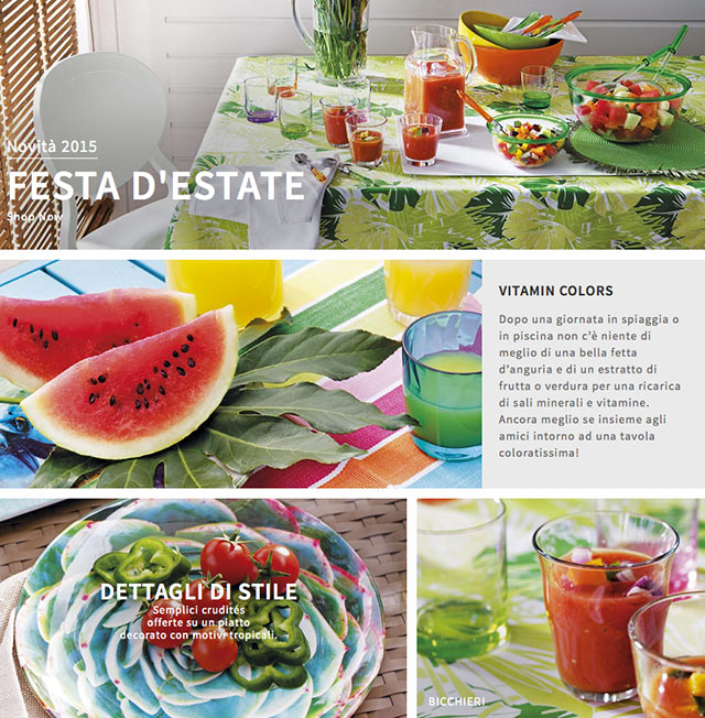 Homepage della festa d'estate.