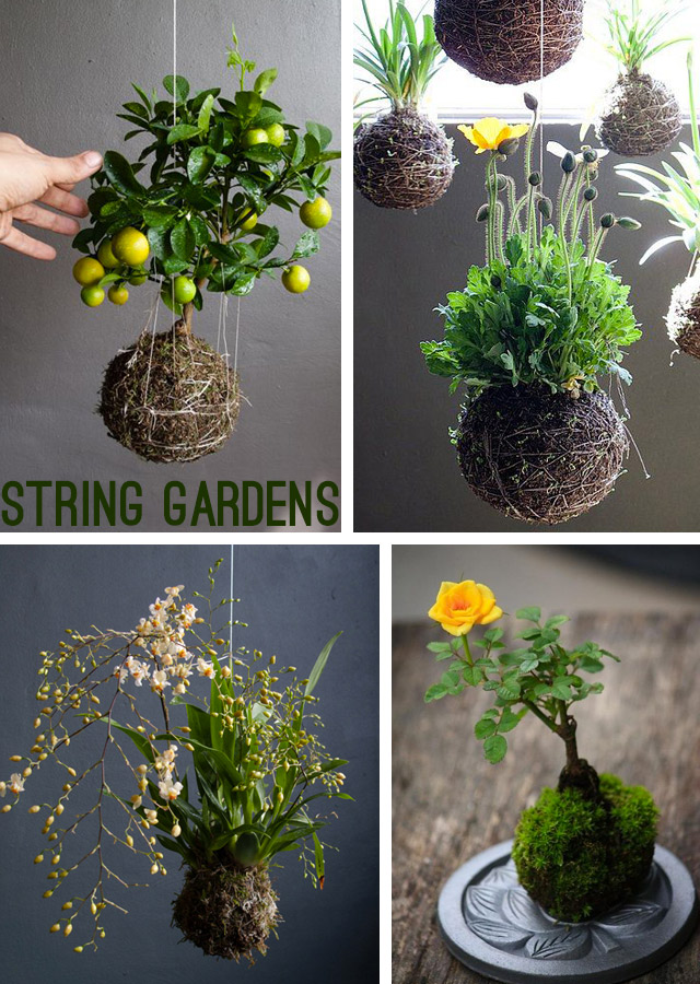 String gardens esempi di possibili realizzazioni.