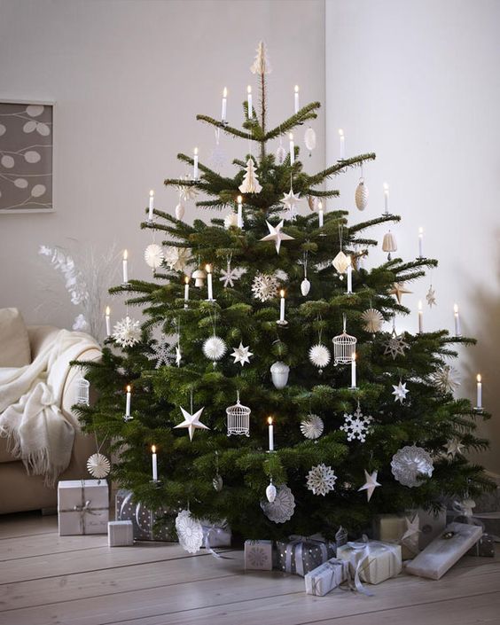Plain interioris - christmas tree simply white and green.